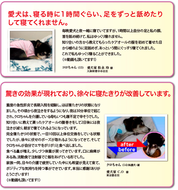 愛犬のお悩み投稿