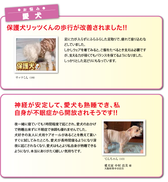 愛犬のお悩み投稿