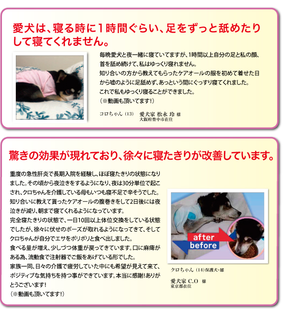 愛犬のお悩み投稿