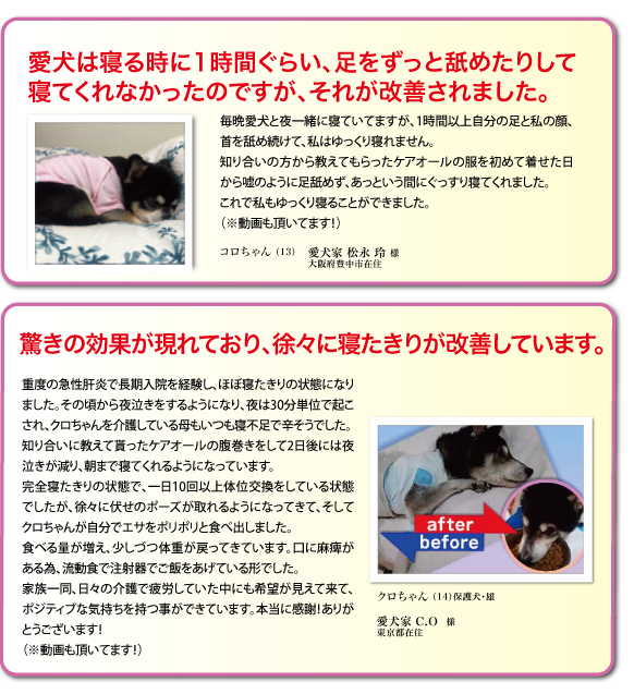 愛犬のお悩み投稿