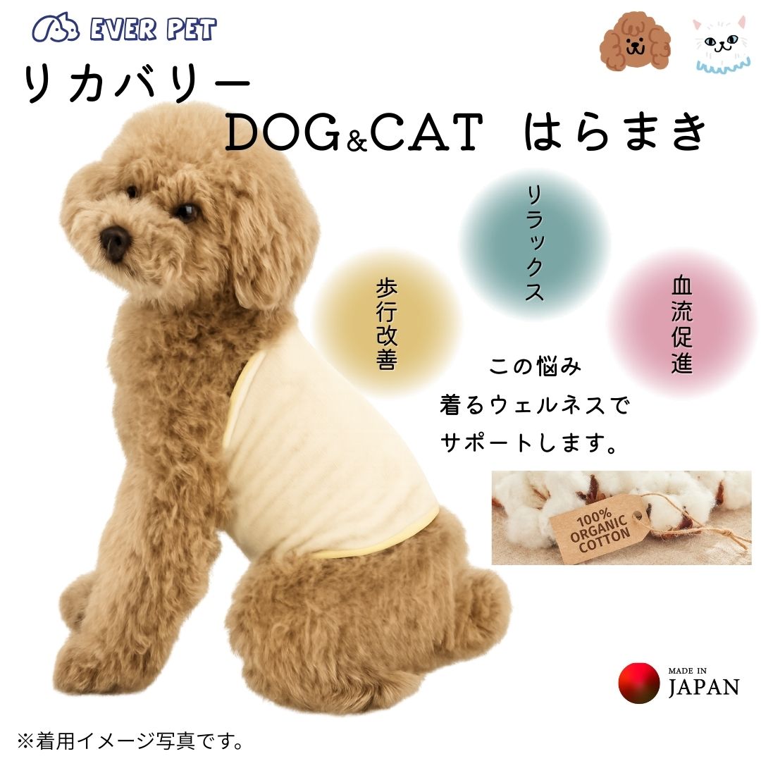 【ゆうパケット対応商品】【ペットケア　シリーズ】犬猫用品　介護ペット　シニアペット　歩行改善　夜鳴き軽減　腹巻　オーガニックコットン　日本製
